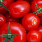 Tomatoes